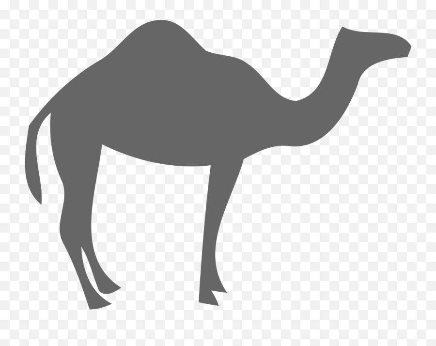 Camel Free Icon Download Png Logo - Camel Stencils Emoji,Chicken Emoticon Yahoo