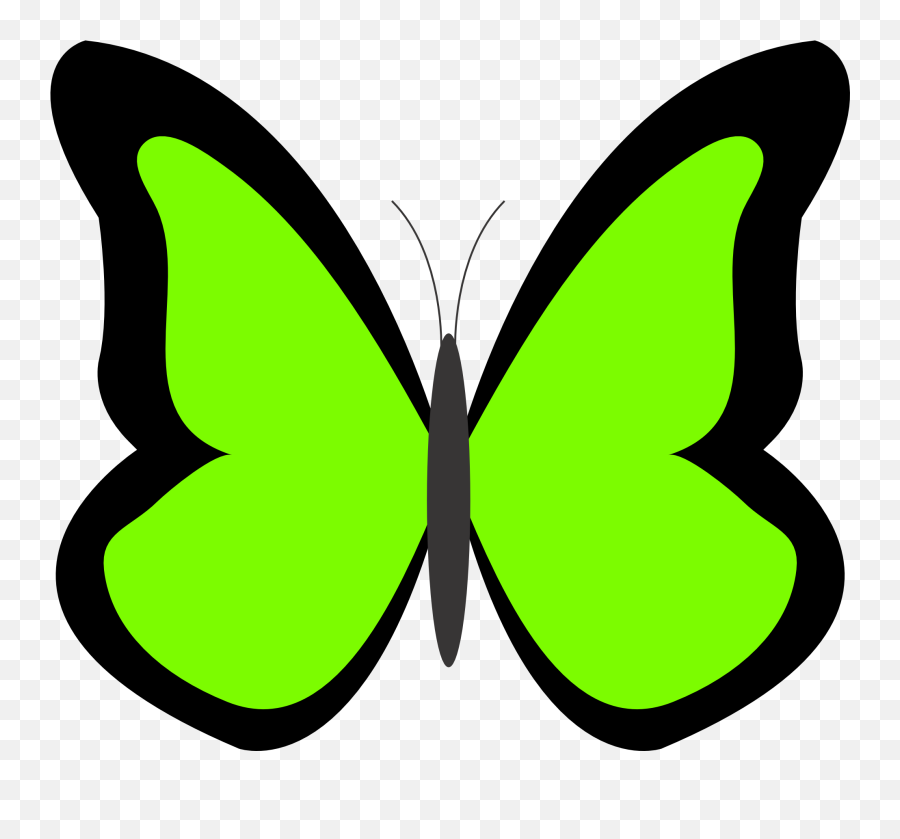 Panda Clipart Butterfly Panda Butterfly Transparent Free - Butterfly In Green Colour Emoji,Butterfly Emoji Png