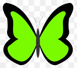 Panda Clipart Butterfly Panda Butterfly Transparent Free - Butterfly In Green Colour Emoji,Butterfly Emoji Png