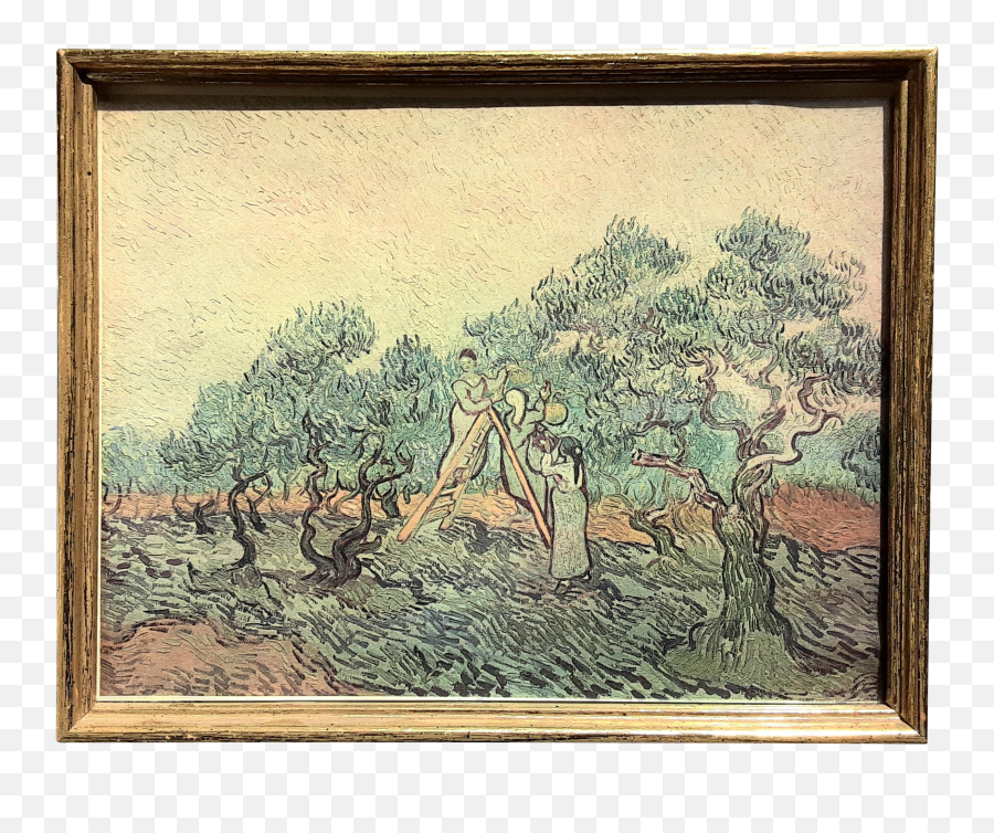1950s Vintage Van Gogh Olive Orchard - Olive Orchard Emoji,Trees Emotion Paintings Van Gogh