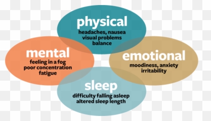 State Of Delaware - State Council For Persons With Effects Of Concussion Emoji,Emotions Are Temporary States Of Mind