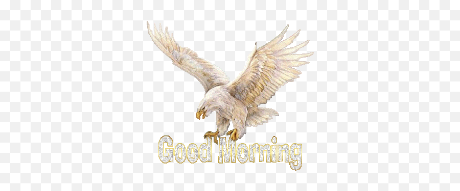 77 Beautiful Good Morning Glitters Pics - Good Morning With Eagle Gif Emoji,Goodmorning Sister Emoticon