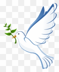 20000 Ücretsiz Sembol Ve Kalp Lüstrasyonu - Peace Dove Png Transparent Emoji,Nokta Emoji