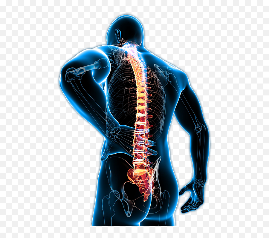 Musculoskeletal Back Pain Png Transparent Image Png Arts - Back Pain Images Png Emoji,Emoji With Back Pain