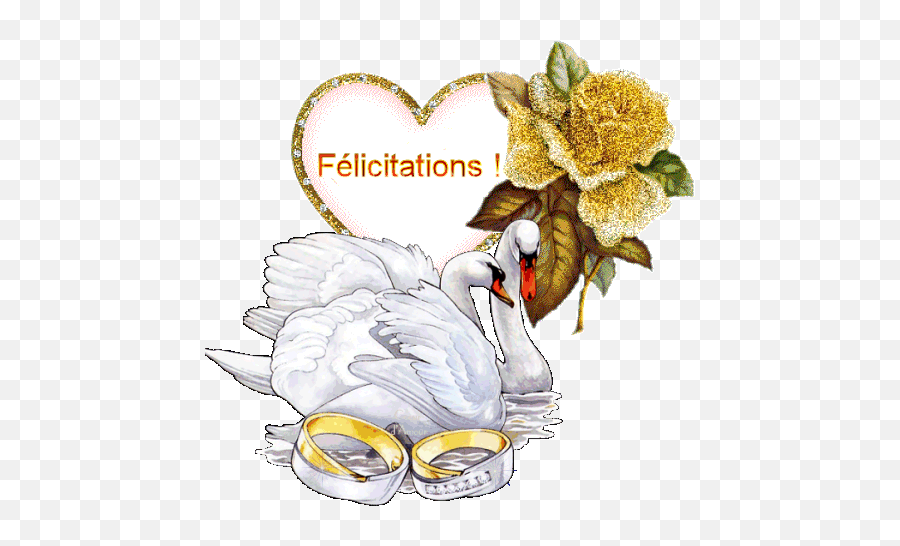 Gif Scintillant - Amour Mariage Cygnes Félicitations Gif Mariage Emoji,Emojis Estafado