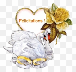 Gif Scintillant - Amour Mariage Cygnes Félicitations Gif Mariage Emoji,Emojis Estafado