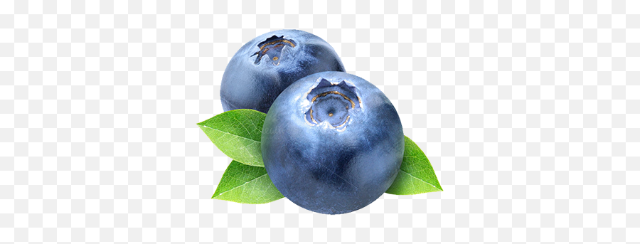 Latam Fruits - Transparent Background Blueberry Clipart Emoji,Emojis Frutas