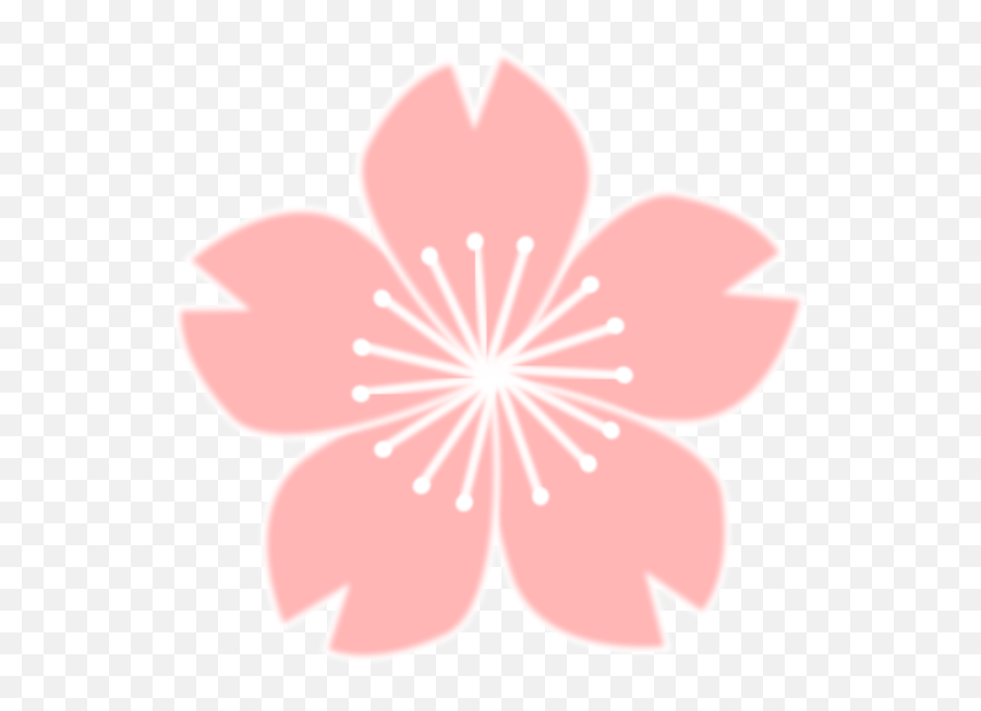 Latest Sakura Flower Drawing Of The Day Brepps Wallpaper - Cherry Blossom Flower Drawing Png Emoji,Sakura Sakura Sweet Emotion
