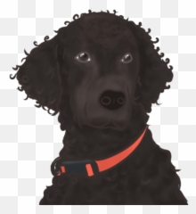 Doggy Daycare Boarding Training Kennel - Curly Emoji,Dog Showing Emotion Tumblr