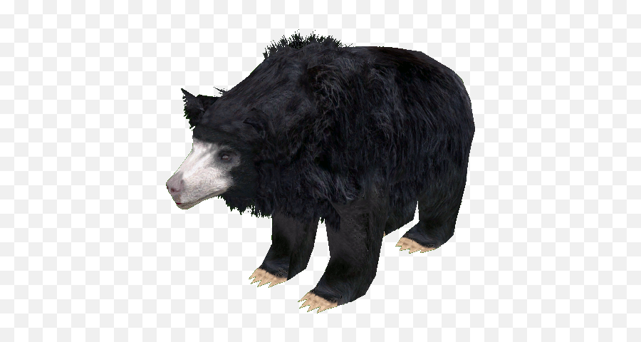 Download Sloth Bear - Car Png Image With No Background Emoji,Emotions Tied To Sloth