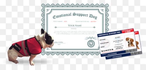 Therapypetorg Emoji,Emotion Dog Kit