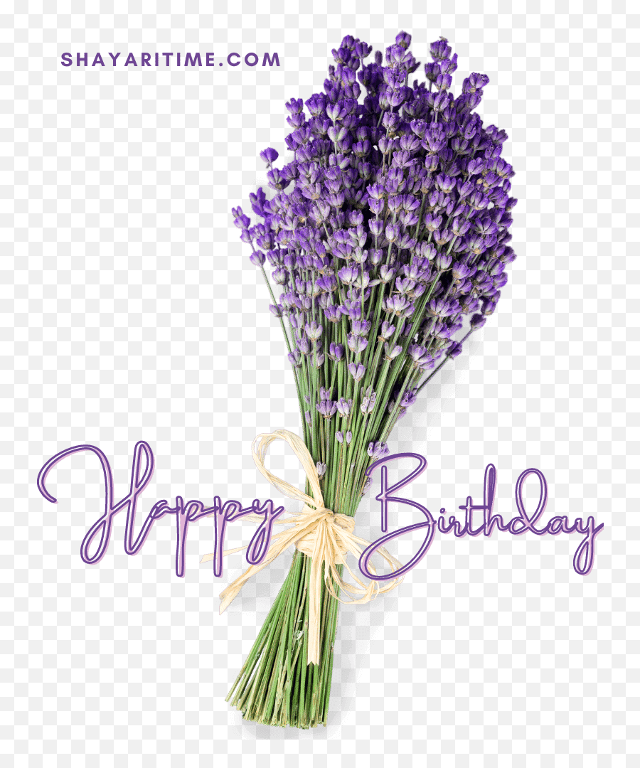 50 2021 New Happy Birthday Png Images Birthday Wishes Emoji,Happy Birthday Message With Emotion