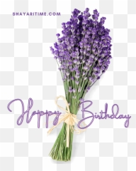 50 2021 New Happy Birthday Png Images Birthday Wishes Emoji,Happy Birthday Message With Emotion