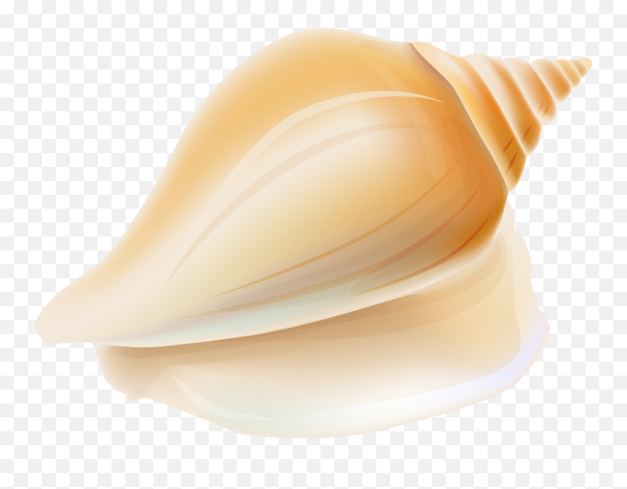 Transparent Seashell Clipart - Clipartix Seashell Emoji,Shell Emoji
