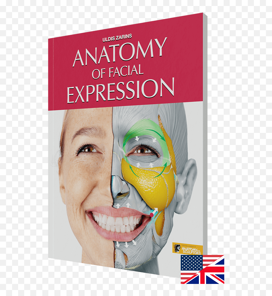 Anatomy Of Facial Expression - Happy Emoji,Human Face Emotions