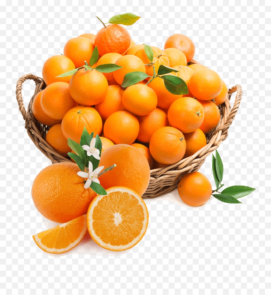 Undefined - Oranges In The Basket Emoji,Biscoff Emoji