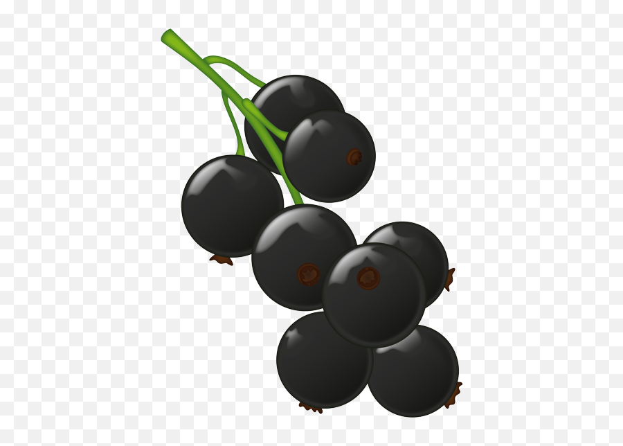 Black Currant Berries Emoji Png - Currant Emoji,Grape Emoji