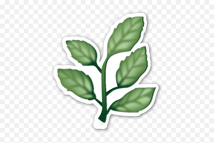 Pin Emoji,Leaf Emoji