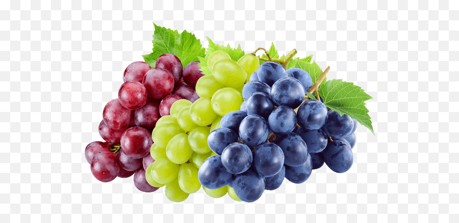 Grapes U2013 Koozooapparelsltd - Some Grapes Emoji,Grape Emoji Png