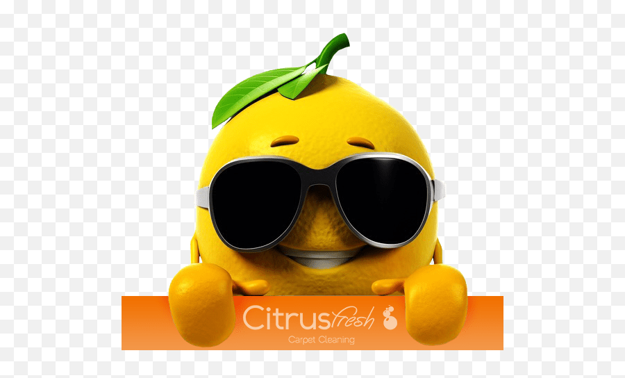Citrus Fresh Carpet Cleaning - Happy Emoji,Steam Furry Emoticons