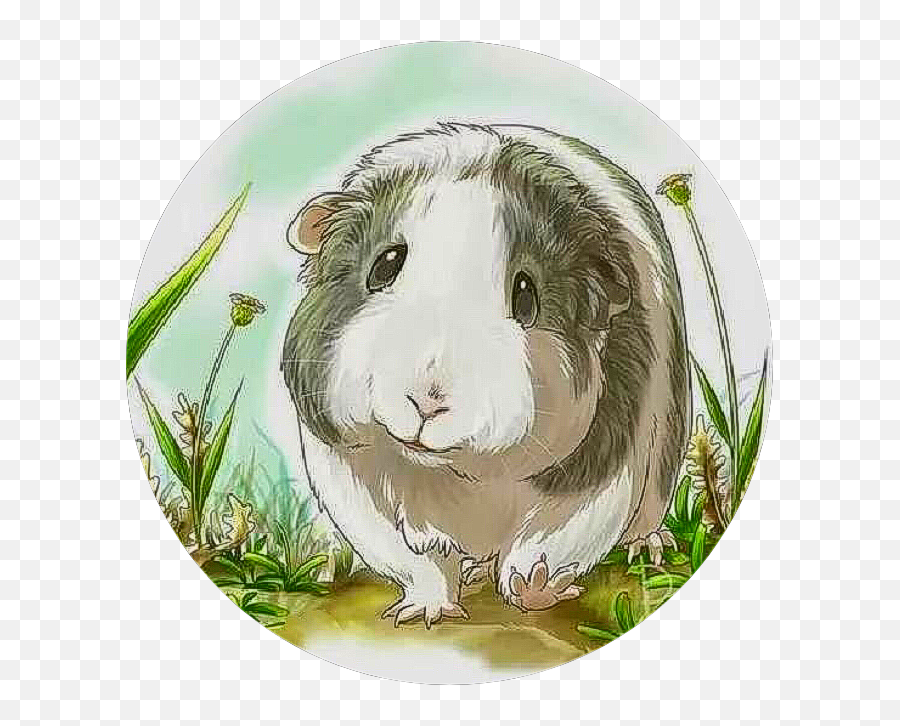 Guinea Pig Sticker Challenge - Guinea Pig Emoji,Guinea Pig Emoji