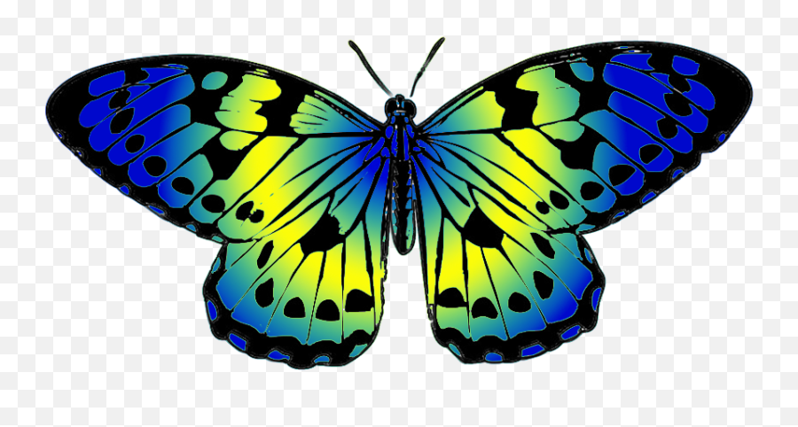 0 Butterfly Clipart Clipart Fans - Clipartix Butterfly Emoji,Butterfly Emoji Png