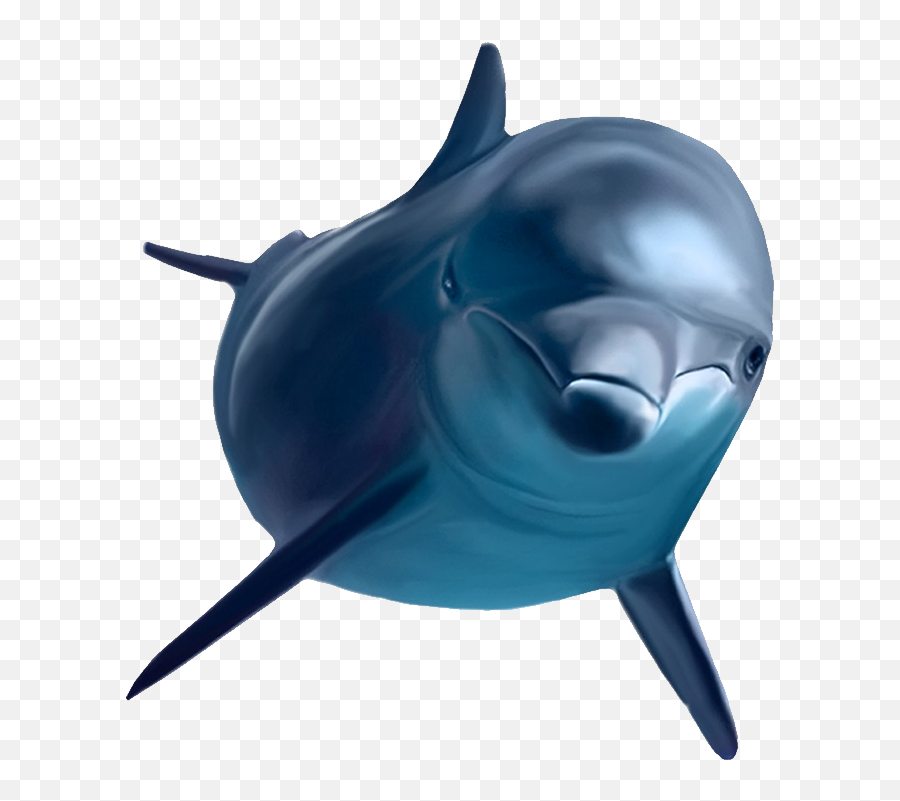 Free Dolphins Logo Png Download Free Clip Art Free Clip - Ecco The Dolphin Transparent Emoji,Dolphin Emoji