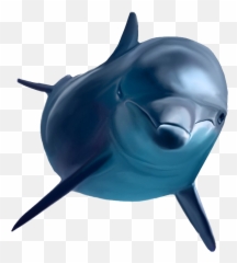 Free Dolphins Logo Png Download Free Clip Art Free Clip - Ecco The Dolphin Transparent Emoji,Dolphin Emoji