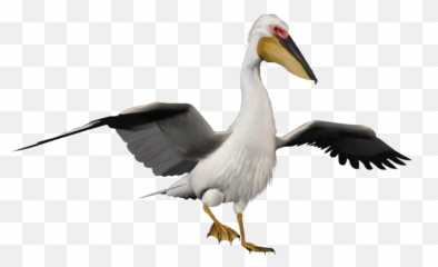 Pelican Sticker - Pelicanos Png Emoji,Pelican Emoji