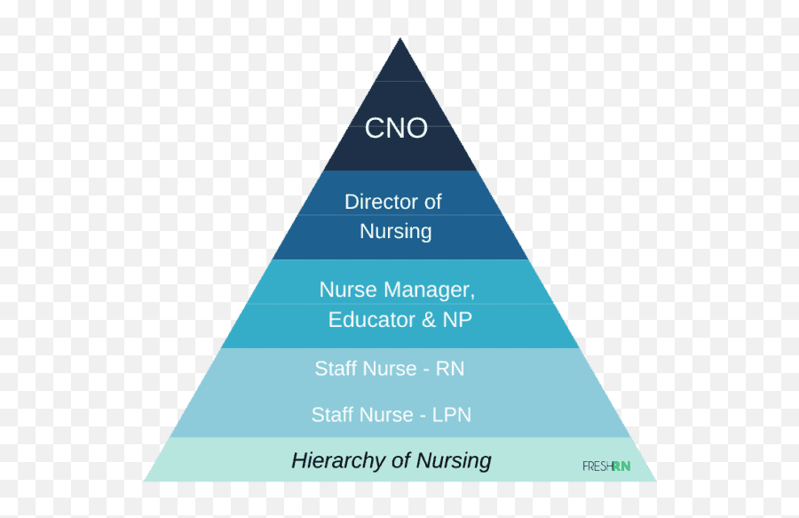 The Hierarchy Of Nursing U2013 Freshrn - Vertical Emoji,Tips To Managing Emotions Nursing