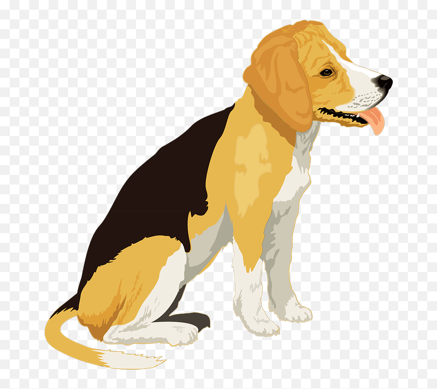 Female Dog Names 2021 - Realistic Dog Clipart Transparent Background Emoji,Looking For A Lap Dog And One That Responds To Emotion