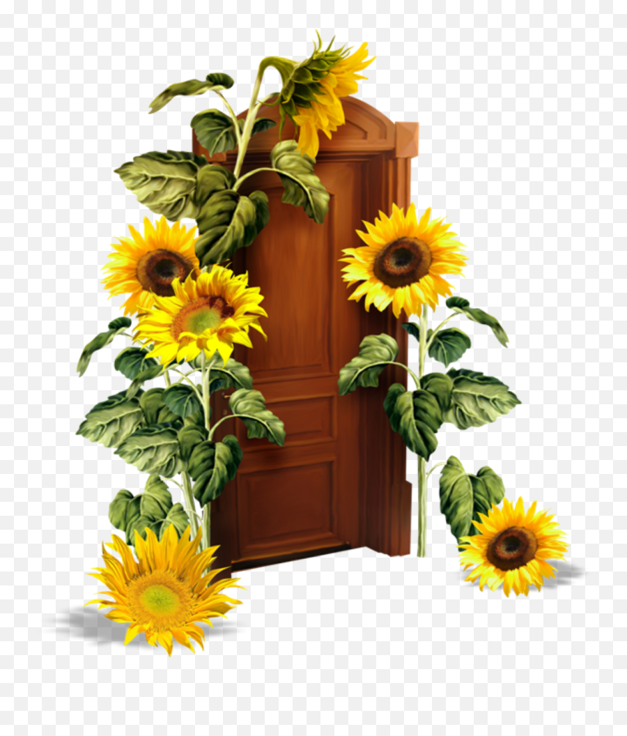 Discover Trending Sunflower Stickers Picsart - Girasoles Png Emoji,Facebook Sunflower Emoticons