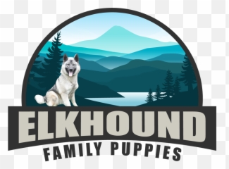 Buttons With A Dog Norwegian Elkhound - Northern Breed Group Emoji,Rainbow Emoji Dogs