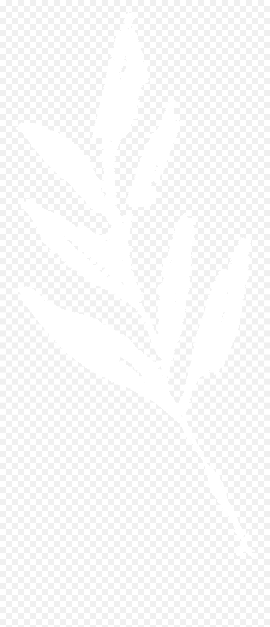 The Album Leaf Bio - International Day 2021 Logo White Emoji,The Emotions Band