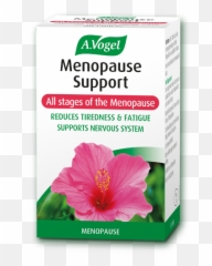Understanding Your Period And Hormone Imbalance - Menopause A Vogel Products Emoji,Emotions During Menstrual Cycle