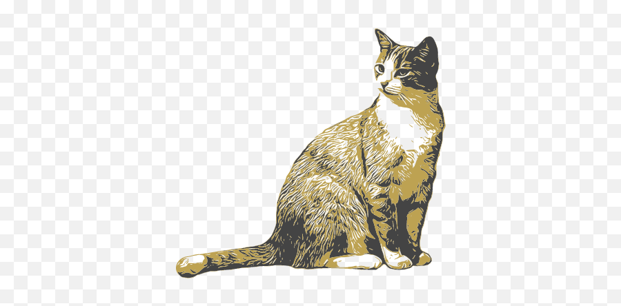 1610001831345 - Domestic Cat Emoji,Cat Emotion