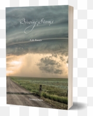 Brewing Storms - Daybreak Press Global Bookshop Emoji,Somatovisceral Afference Model Of Emotion (same)