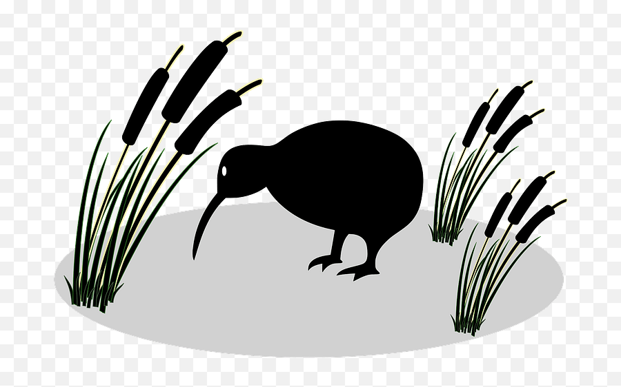 Kiwi And Reed Clipart - Kiwi Emoji,Kiwi Bird Emoji