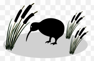 Kiwi And Reed Clipart - Kiwi Emoji,Kiwi Bird Emoji