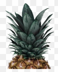 Discover Trending Pineapple Stickers Picsart - Transparent Pineapple Png Emoji,Pineapple Emoji Hat