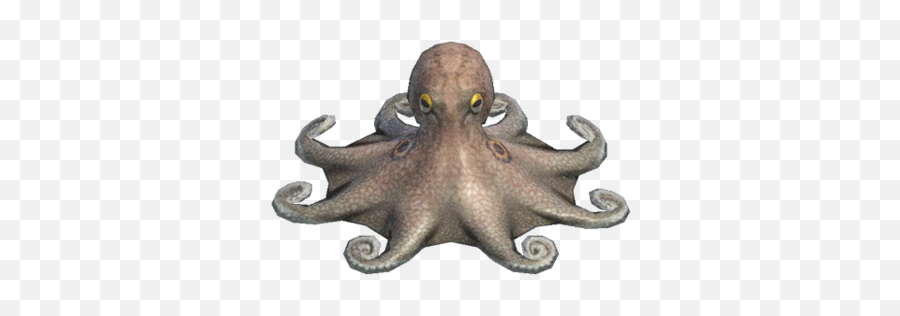 Octopus - Animal Crossing Octopus Fish Emoji,Octopus Changing Color To Match Emotion