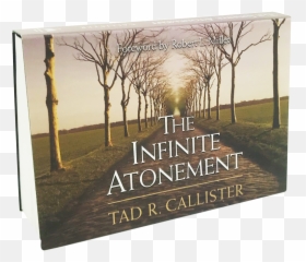 The Infinite Atonement - Event Emoji,Pocket Bible Indexed To Human Emotions