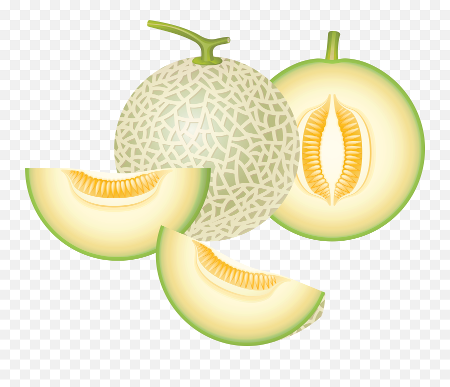 Free Cantaloupe Png Download Free Clip - Honeydew Melon Clipart Png Emoji,Cantelope Emoticon