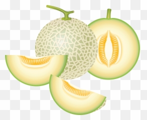 Free Cantaloupe Png Download Free Clip - Honeydew Melon Clipart Png Emoji,Cantelope Emoticon