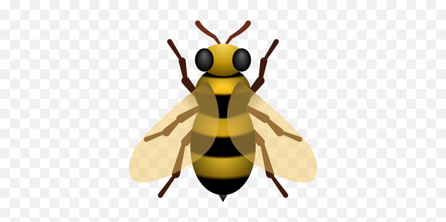 Honeybee Icon - Parasitism Emoji,Ios Bee Emoji Vector