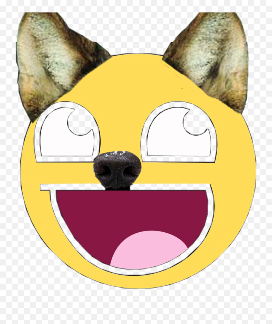 Derpy Derp Wolf Derpyface Sticker - Happy Emoji,Derp Face Emoticon