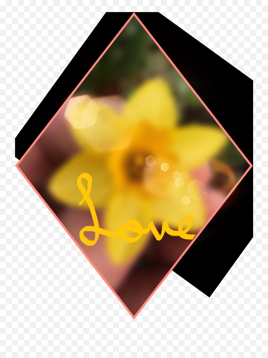 The Most Edited Badeditingskills Picsart - Language Emoji,Emoticon Daffodil