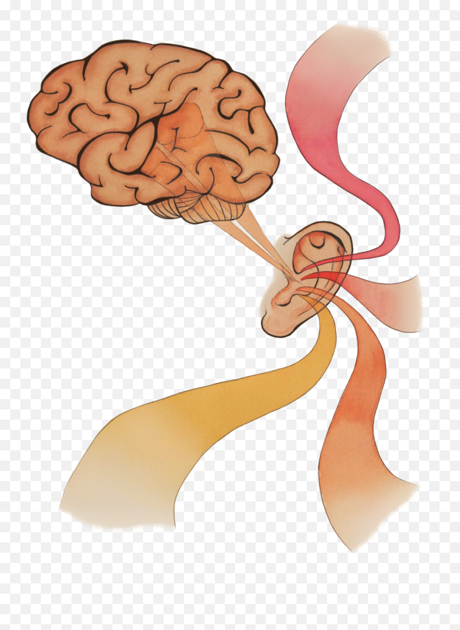 Misophonia Symptom Or Disorder - Brain Emoji,Repetitive Exposures: Brain And Reflex Measures Of Emotion And Attention.