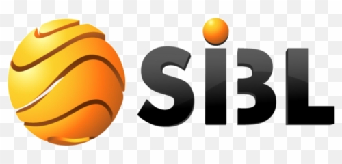 Le Coaching De Emoji,La Roue Des Emotions A Construire