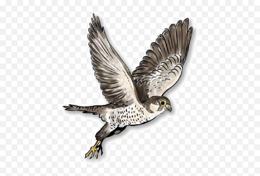 Clipart Falcon Flying Transparent Png Images - Yourpngcom Emoji,Falcons Emojis